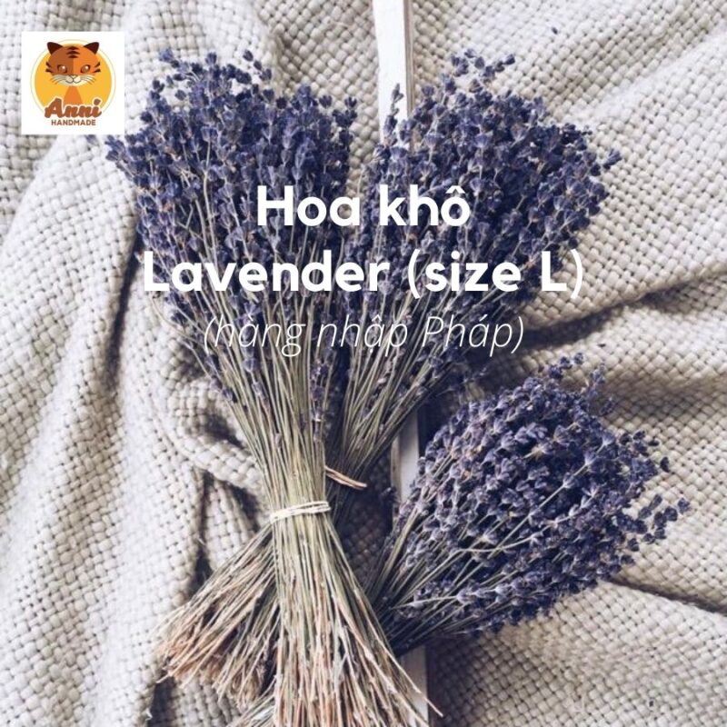 hoa khô Lavender