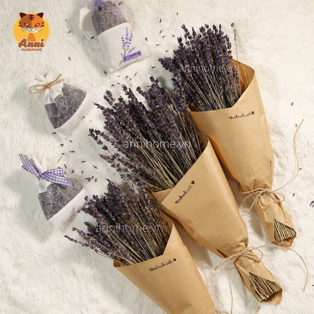 Hoa khô Lavender - Anni Handmade