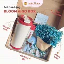 Bloom & Go Gift Box | AHGV